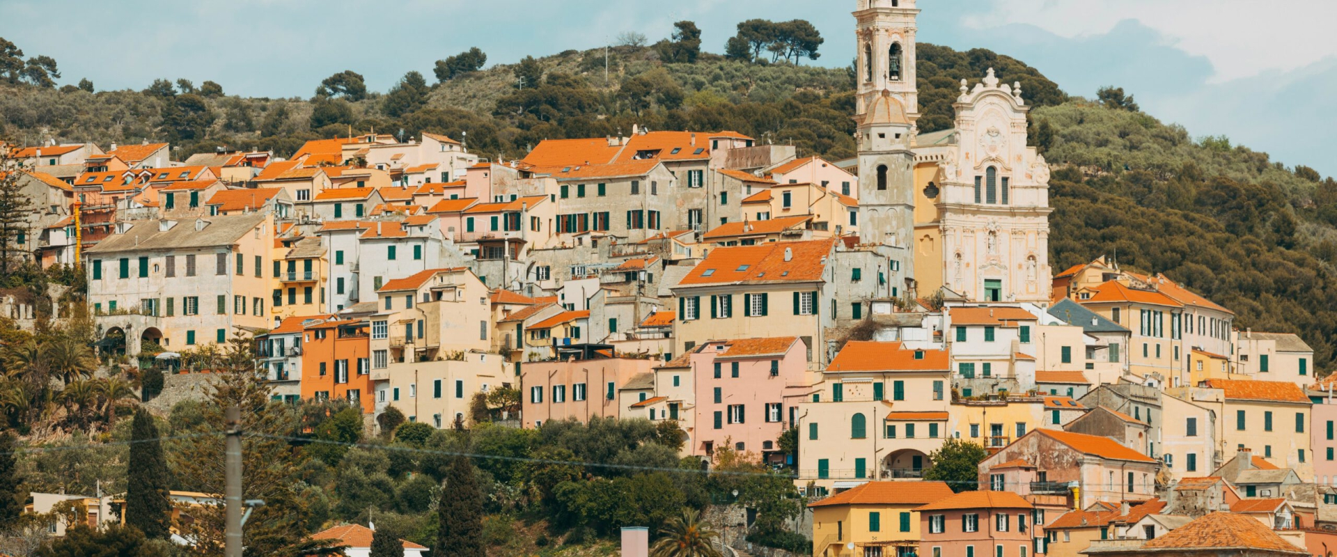 cervo (1)