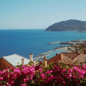 cervo (2)