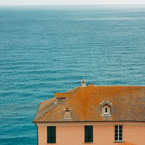 cervo (3)