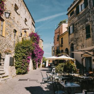 cervo (5)