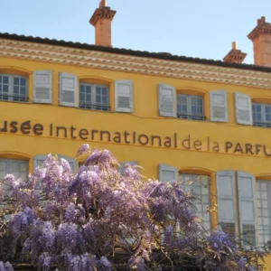 grasse2