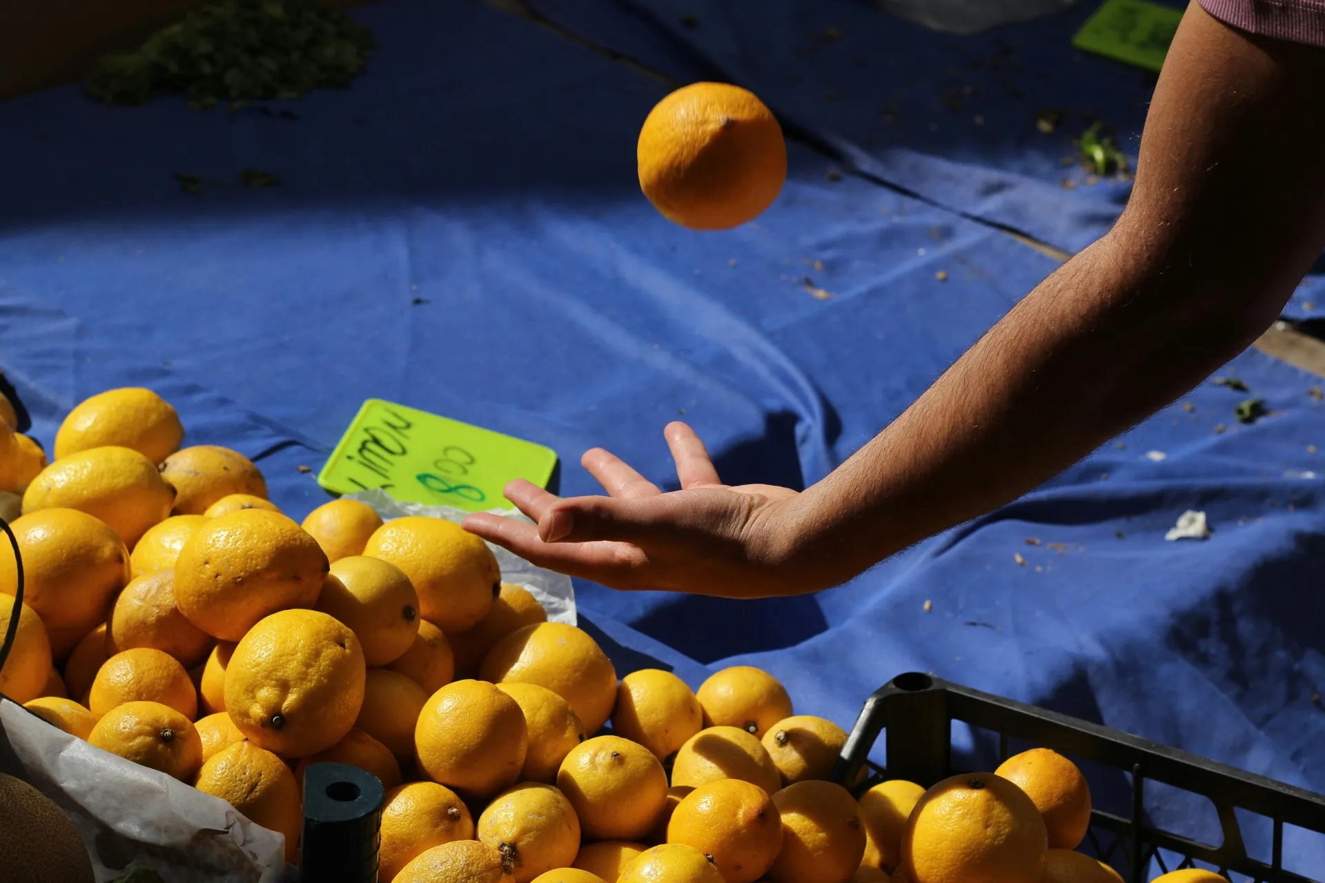 Limoni freschi al mercato durante la Festa dei Limoni di Mentone